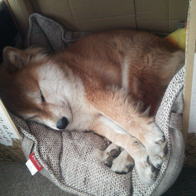 全国青少年游泳马拉松，水中青春自由奔跑，2021年全国游泳马拉松冠军赛